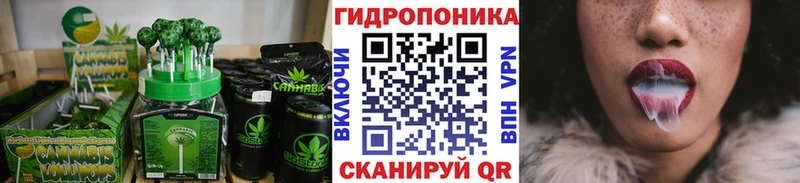 Canna-Cookies марихуана  Купить закладки  Агрыз 