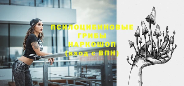 прущая мука Арсеньев