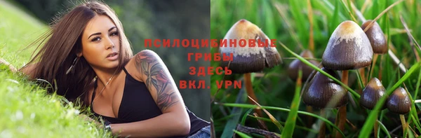 прущая мука Арсеньев