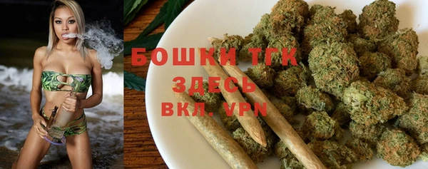 прущая мука Арсеньев