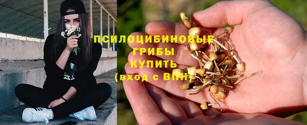мет Армянск